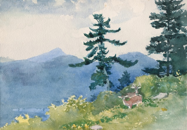 Et akvarell kunstmaleri av en skog